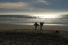 Beach with Surfers