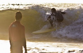 Surfer