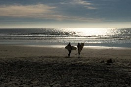 Surfers at sunset