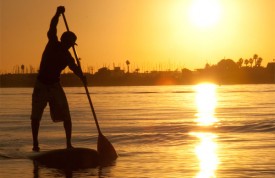 SUPing in the sunlight
