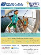 ICS Flyer