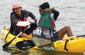 Paddle Green