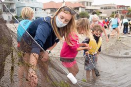 Sara Rosenblatt Seine Netting